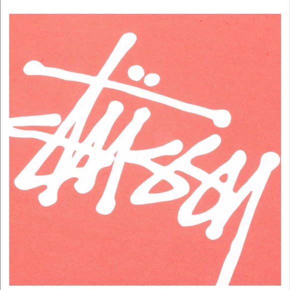 Stussy Basic Zip Up Hoodie Pale Red - Picture 3 of 4